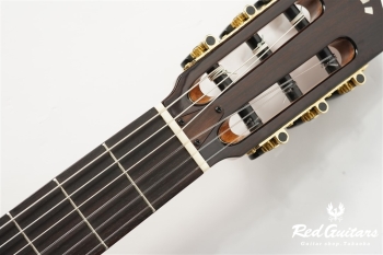 STAGE GUITAR LIMITED - BLUE BURST